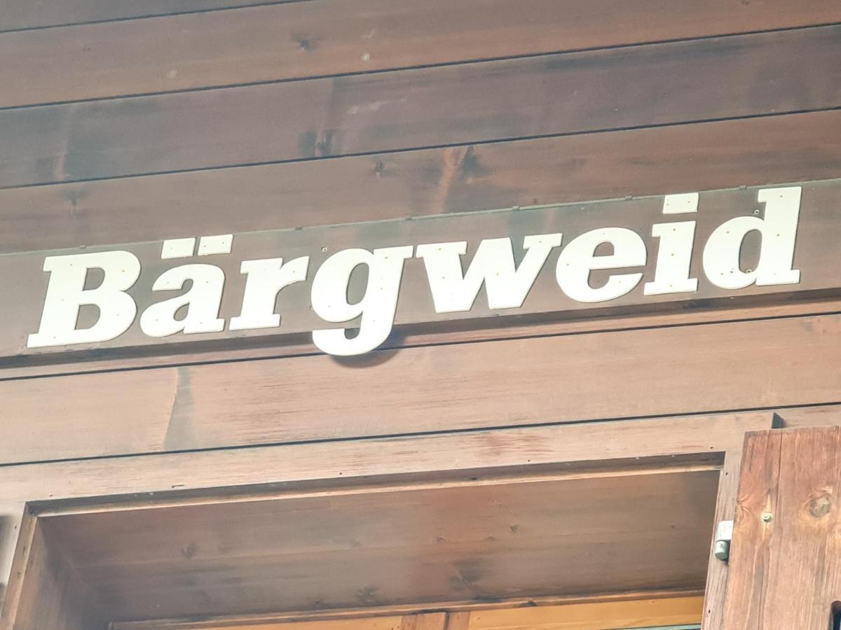 Chalet Graben - Aare Jungfrau Ag Гринделвалд Екстериор снимка